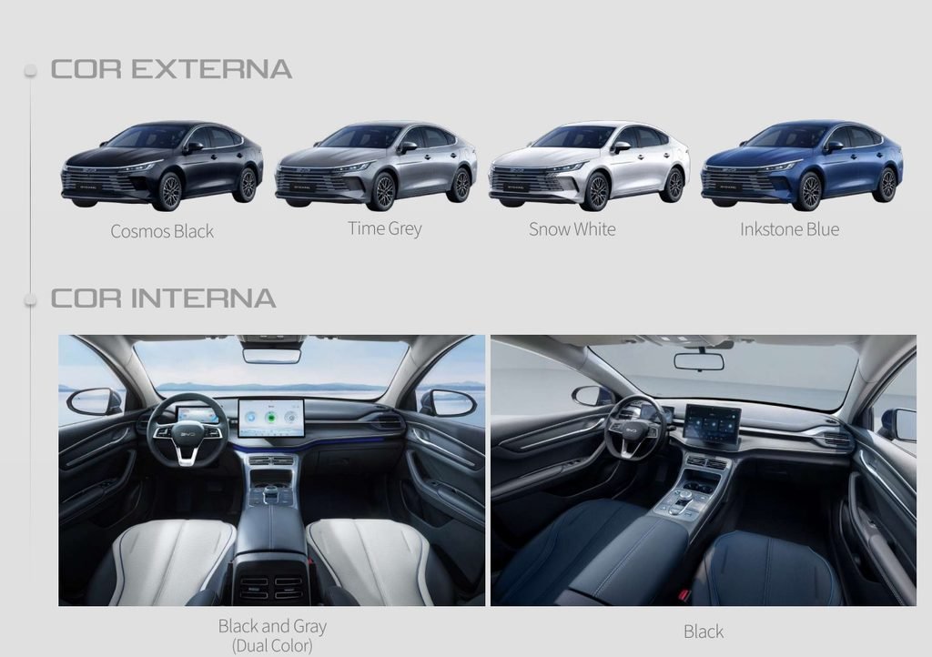 byd king gl cores e interior